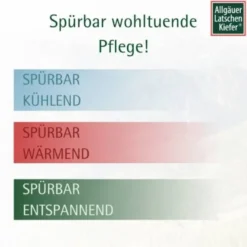 ALLGÄUER LATSCHENK. wärmendes Intensiv Gel 200 ml