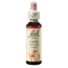BACHBLÜTEN Aspen Tropfen 20 ml