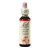 BACHBLÜTEN Cherry Plum Tropfen 20 ml