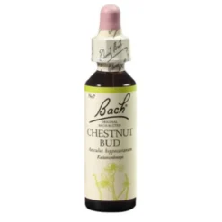 BACHBLÜTEN Chestnut Bud Tropfen 20 ml