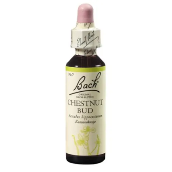 BACHBLÜTEN Chestnut Bud Tropfen 20 ml
