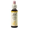 BACHBLÜTEN Gorse Tropfen 20 ml