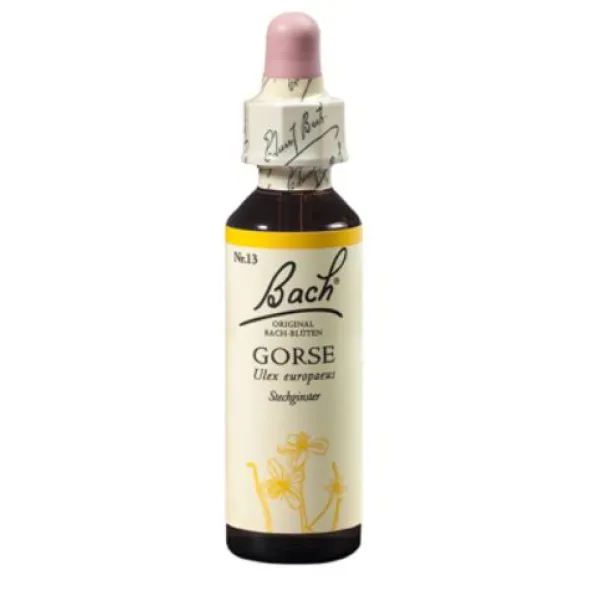 BACHBLÜTEN Gorse Tropfen 20 ml