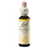 BACHBLÜTEN Hornbeam Tropfen 20 ml