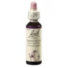 BACHBLÜTEN Impatiens Tropfen 20 ml