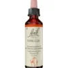 BACHBLÜTEN Mimulus Tropfen 20 ml