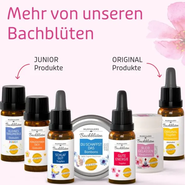 BACHBLÜTEN Murnauers Bleib gelassen Kaugummi 74 g