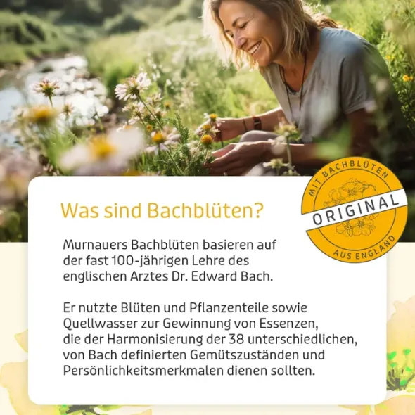 BACHBLÜTEN Murnauers Original Creme nach Dr.Bach 30 g