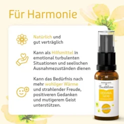 BACHBLÜTEN Murnauers Original Spray 20 ml