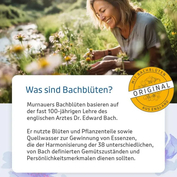 BACHBLÜTEN Murnauers Schlaf Gut Tropfen 20 ml
