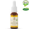 BACHBLÜTEN No.7 Chestnut Bud Bio 20 ml