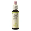 BACHBLÜTEN Olive Tropfen 20 ml