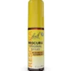BACHBLÜTEN Original Rescura Spray alkoholfrei 20 ml