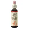 BACHBLÜTEN Rock Rose Tropfen 20 ml