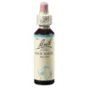 BACHBLÜTEN Rock Water Tropfen 20 ml