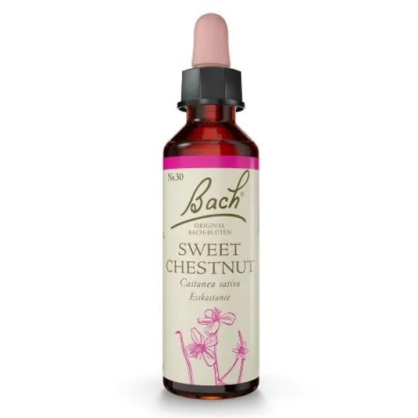 BACHBLÜTEN Sweet Chestnut Tropfen 20 ml
