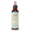 BACHBLÜTEN Vervain Tropfen 20 ml
