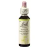 BACHBLÜTEN White Chestnut Tropfen 20 ml