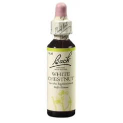 BACHBLÜTEN White Chestnut Tropfen 20 ml