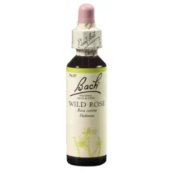 BACHBLÜTEN Wild Rose Tropfen 20 ml