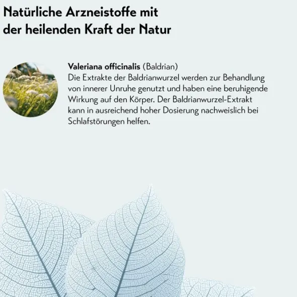 BALDRIPARAN Stark für die Nacht überzogene Tab. 120 St
