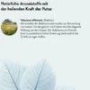 BALDRIPARAN Stark für die Nacht überzogene Tab. 60 St
