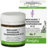 BIOCHEMIE 7 Magnesium phosphoricum D 12 Tabletten 80 St