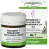 BIOCHEMIE 7 Magnesium phosphoricum D 6 Tabletten 80 St