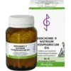 BIOCHEMIE 9 Natrium phosphoricum D 6 Tabletten 500 St
