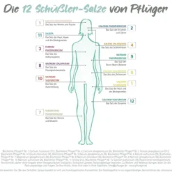 BIOCHEMIE Pflüger 2 Calcium phosphoricum D 6 Tabl. 4000 St