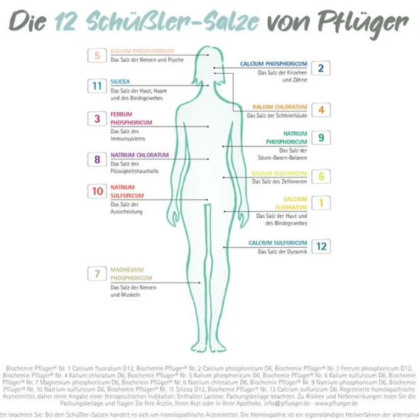 BIOCHEMIE Pflüger 3 Ferrum phosphoricum D 12 Tabl. 100 St