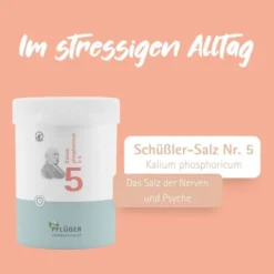 BIOCHEMIE Pflüger 5 Kalium phosphoricum D 6 Tabl. 1000 St