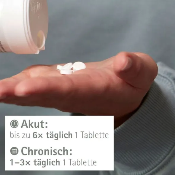 BIOCHEMIE Pflüger 6 Kalium sulfuricum D 6 Tabl. 400 St