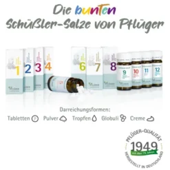 BIOCHEMIE Pflüger 7 Magnesium phosphoricum D 6 Tab 100 St