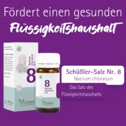 BIOCHEMIE Pflüger 8 Natrium chloratum D 6 Tabl. 100 St