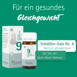 BIOCHEMIE Pflüger 9 Natrium phosphoricum D 6 Tabl. 100 St