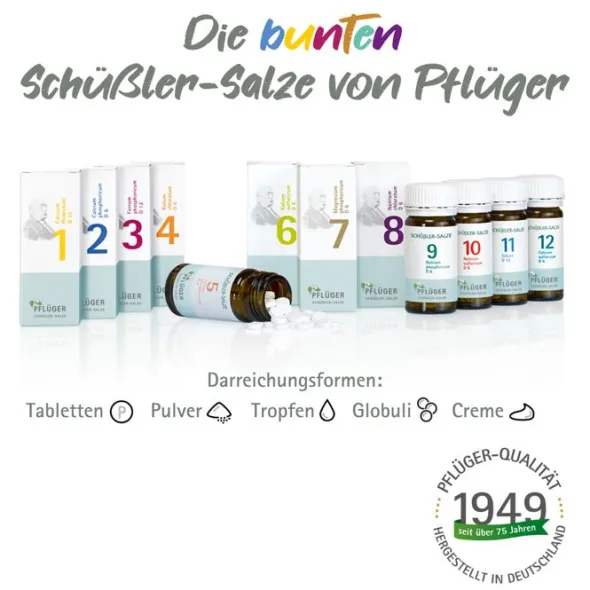 BIOCHEMIE Pflüger 9 Natrium phosphoricum D 6 Tabl. 100 St