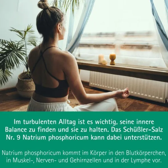 BIOCHEMIE Pflüger 9 Natrium phosphoricum D 6 Tabl. 100 St