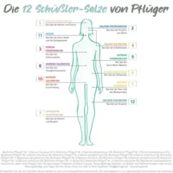 BIOCHEMIE Pflüger 10 Natrium sulfuricum D 6 Tabl. 100 St