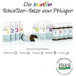 BIOCHEMIE Pflüger 11 Silicea D 12 Tabletten 400 St