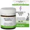 BIOCHEMIE 11 Silicea D 12 Tabletten 80 St