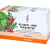BLASEN UND Nierentee VII Bombastus Filterbeutel 20X2 g