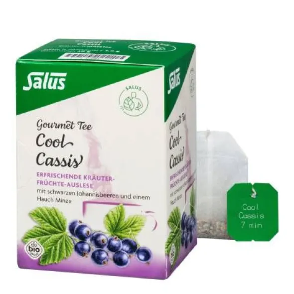 COOL CASSIS Kräutertee Salus Filterbeutel 15 St