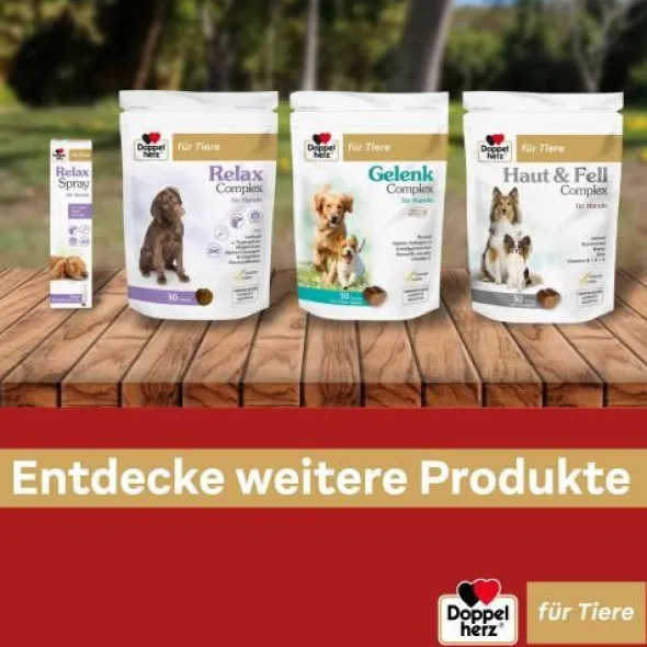 DOPPELHERZ für Tiere Haut&Fell Compl.Chews f.Hunde 60 St