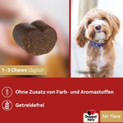 DOPPELHERZ für Tiere Haut&Fell Compl.Chews f.Hunde 60 St