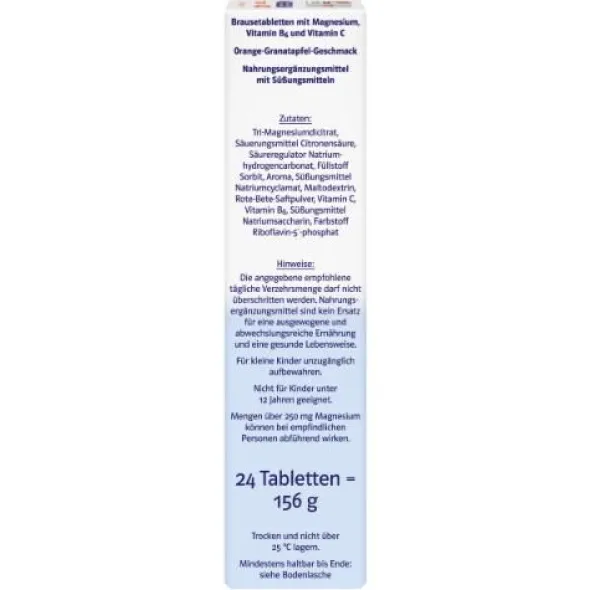 DOPPELHERZ Magnesium 400 Citrat system Brausetabl. 24 St