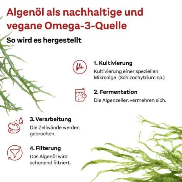 DOPPELHERZ Omega-3 pflanzlich system Kapseln 60 St