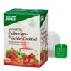 ERDBEEREN Früchtecocktail Salus Filterbeutel 15 St