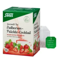 ERDBEEREN Früchtecocktail Salus Filterbeutel 15 St