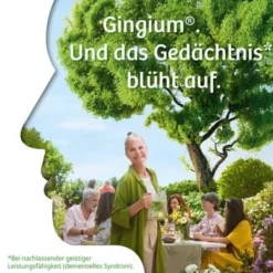 GINGIUM 120 mg Filmtabletten 120 St
